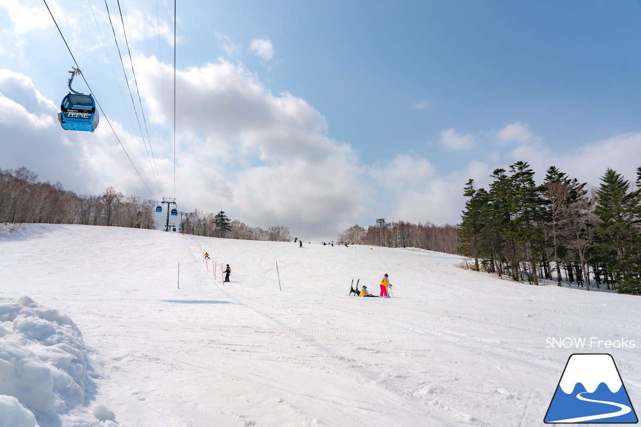 サッポロテイネ｜山頂積雪 285cm！絶好の春コンディションのゲレンデは、『アルペンスキー大会』『モーグル大会』『テイネ雪山祭り』『北海道米そり選手権2026』で大盛り上がり～(^^)v